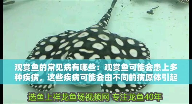 觀賞魚的常見病有哪些：觀賞魚可能會(huì)患上多種疾病，這些疾病可能會(huì)由不同的病原體引起