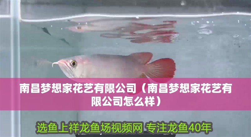 南昌夢(mèng)想家花藝有限公司（南昌夢(mèng)想家花藝有限公司怎么樣）