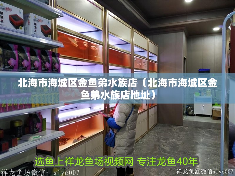 北海市海城區金魚弟水族店（北海市海城區金魚弟水族店地址） 北海市海城區金魚弟水族店（北海市海城區金魚弟水族店地址） 全國水族館企業名錄 第4張