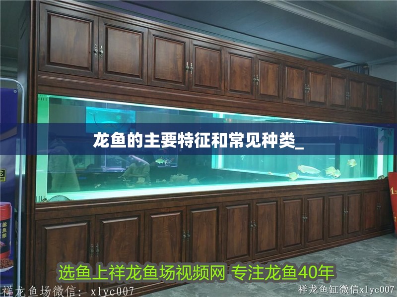 龍魚的主要特征和常見種類_ 龍魚的主要特征和常見種類_ 龍魚百科 第2張