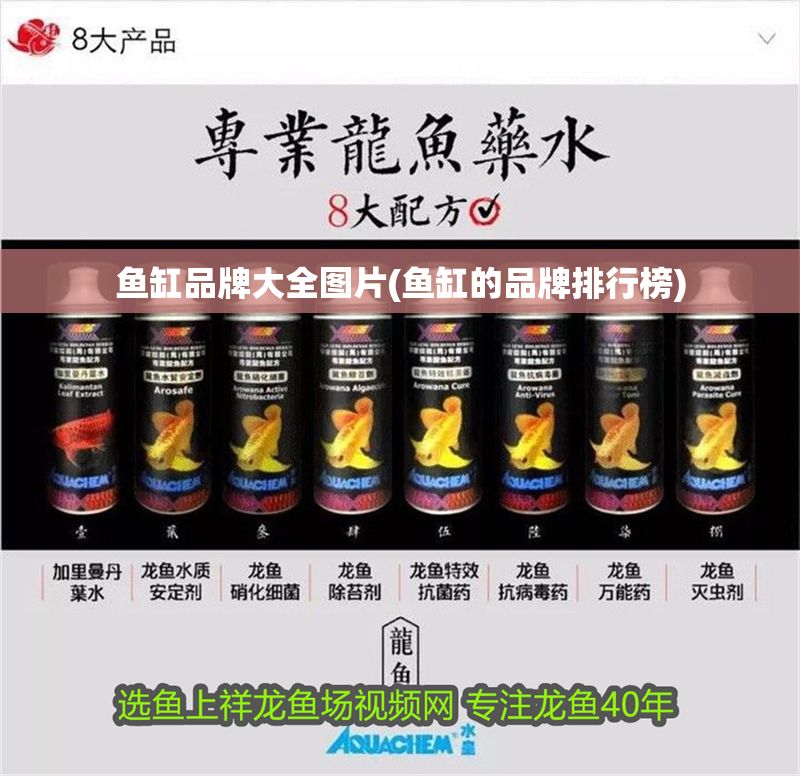 魚缸品牌大全圖片(魚缸的品牌排行榜)