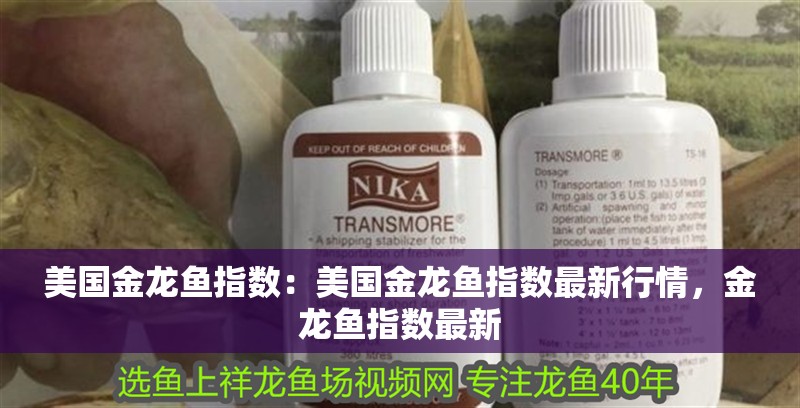 美國金龍魚指數(shù)：美國金龍魚指數(shù)最新行情，金龍魚指數(shù)最新