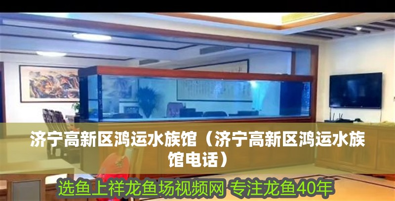 濟寧高新區鴻運水族館（濟寧高新區鴻運水族館電話）