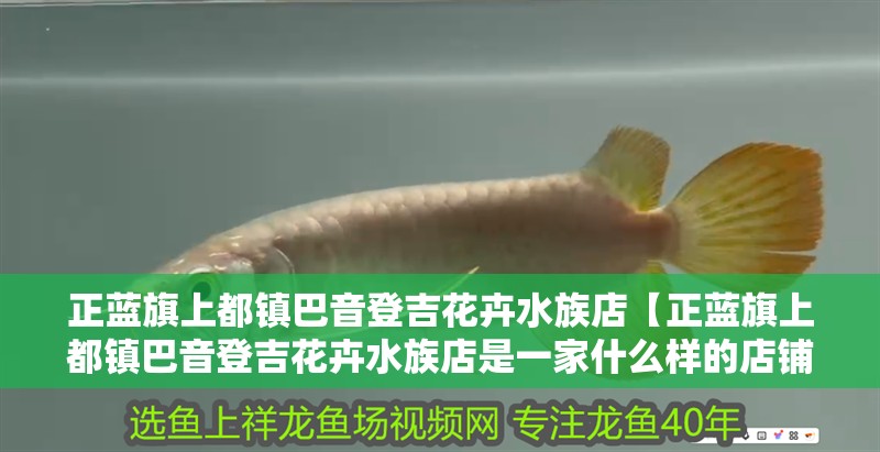 正藍旗上都鎮巴音登吉花卉水族店【正藍旗上都鎮巴音登吉花卉水族店是一家什么樣的店鋪】