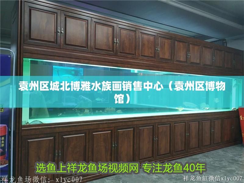 袁州區城北博雅水族畫銷售中心（袁州區博物館）