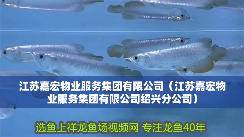 江蘇嘉宏物業服務集團有限公司（江蘇嘉宏物業服務集團有限公司紹興分公司） 江蘇嘉宏物業服務集團有限公司（江蘇嘉宏物業服務集團有限公司紹興分公司） 全國水族館企業名錄 第2張