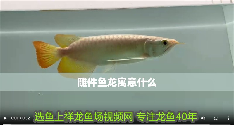 雕件魚龍寓意什么