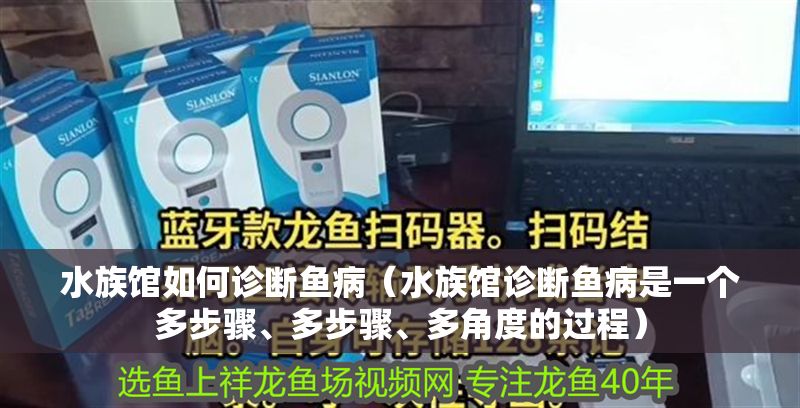 水族館如何診斷魚病（水族館診斷魚病是一個多步驟、多步驟、多角度的過程）