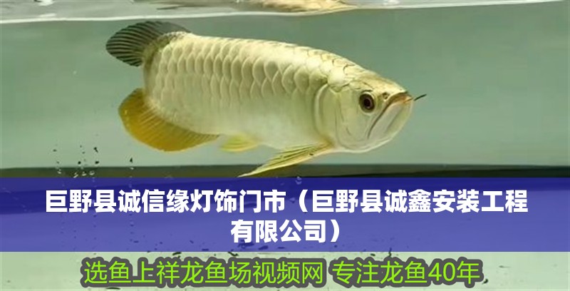 巨野縣誠信緣燈飾門市（巨野縣誠鑫安裝工程有限公司） 巨野縣誠信緣燈飾門市（巨野縣誠鑫安裝工程有限公司） 全國水族館企業(yè)名錄 第2張