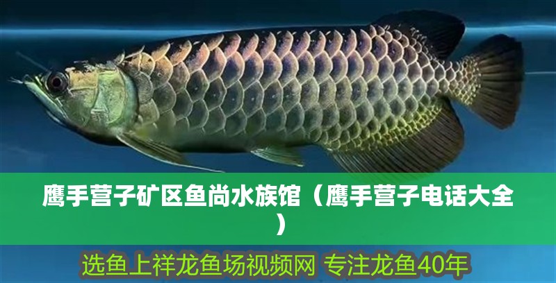 鷹手營子礦區魚尚水族館（鷹手營子電話大全）