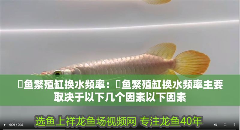 魟魚繁殖缸換水頻率：魟魚繁殖缸換水頻率主要取決于以下幾個(gè)因素以下因素