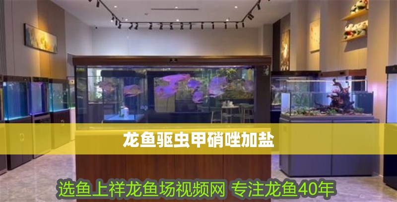 龍魚驅蟲甲硝唑加鹽 龍魚驅蟲甲硝唑加鹽 龍魚百科 第2張