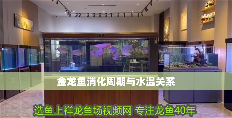 金龍魚消化周期與水溫關系