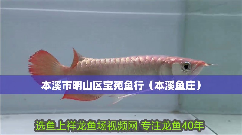 本溪市明山區(qū)寶苑魚行（本溪魚莊）