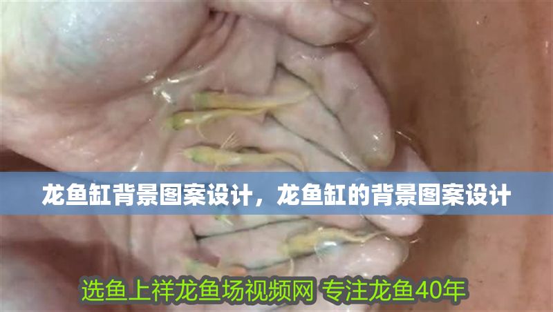龍魚缸背景圖案設(shè)計，龍魚缸的背景圖案設(shè)計