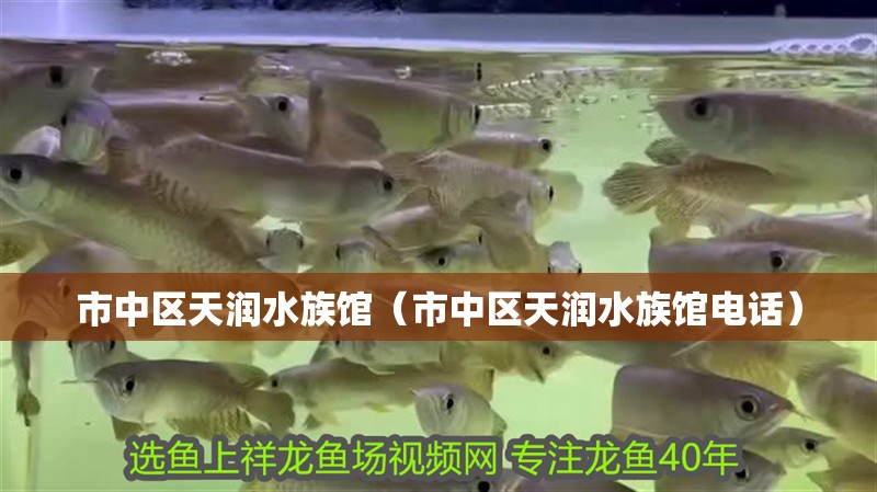 市中區天潤水族館（市中區天潤水族館電話）