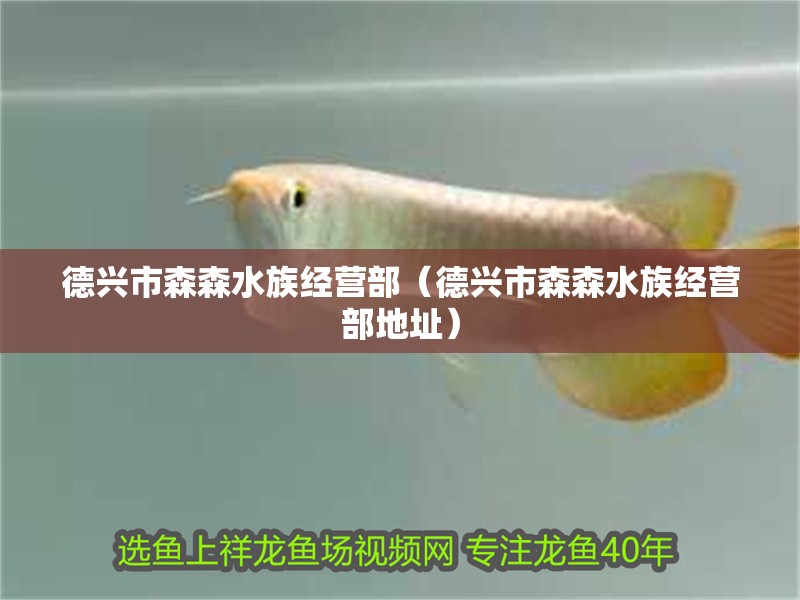 德興市森森水族經營部（德興市森森水族經營部地址）