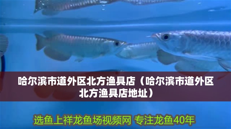 哈爾濱市道外區北方漁具店（哈爾濱市道外區北方漁具店地址）
