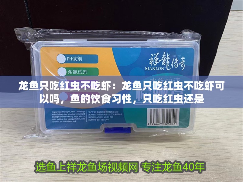 龍魚只吃紅蟲不吃蝦：龍魚只吃紅蟲不吃蝦可以嗎，魚的飲食習性，只吃紅蟲還是