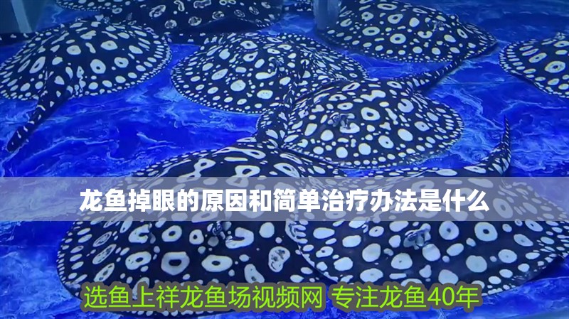 龍魚掉眼的原因和簡單治療辦法是什么