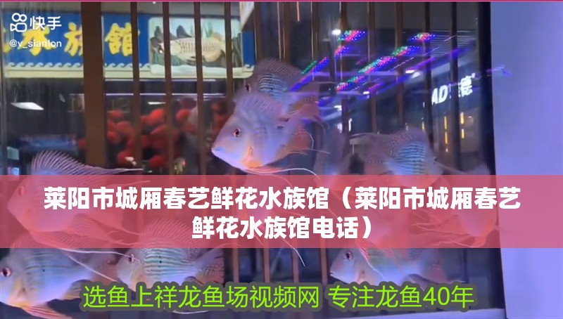 萊陽市城廂春藝鮮花水族館（萊陽市城廂春藝鮮花水族館電話）
