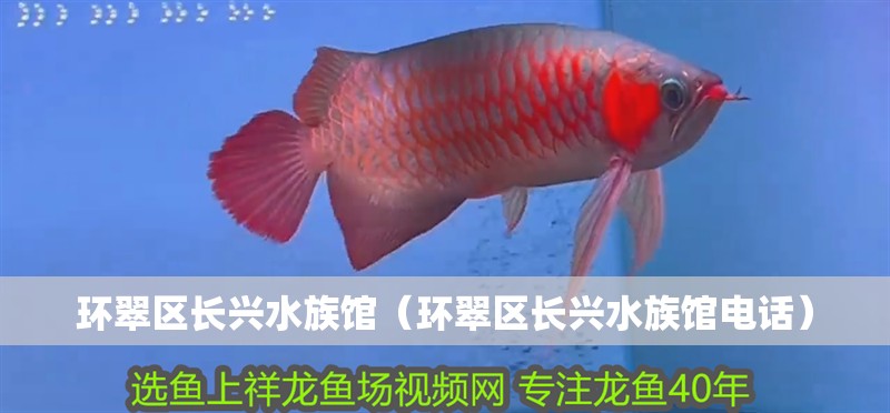 環翠區長興水族館（環翠區長興水族館電話）