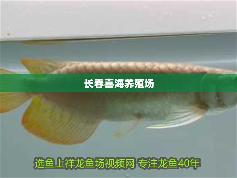 長春喜海養(yǎng)殖場