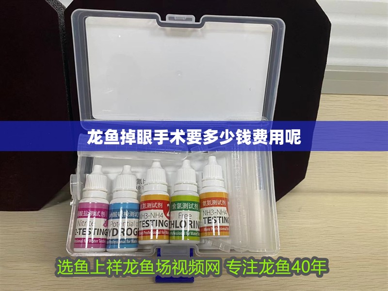 龍魚掉眼手術(shù)要多少錢費(fèi)用呢