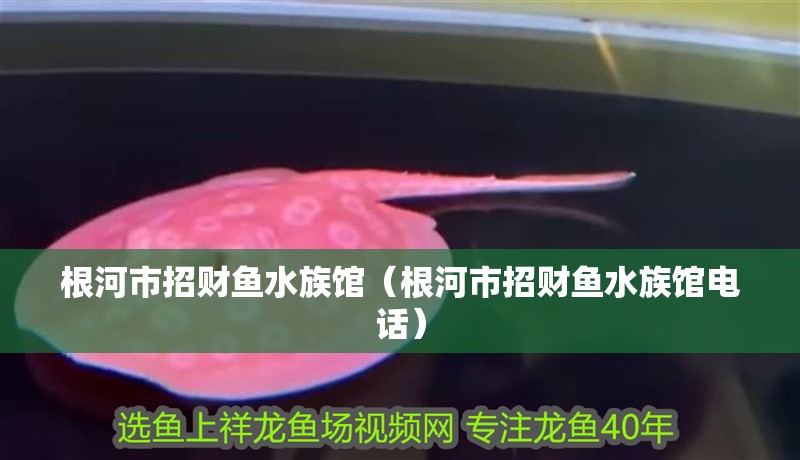 根河市招財魚水族館（根河市招財魚水族館電話）