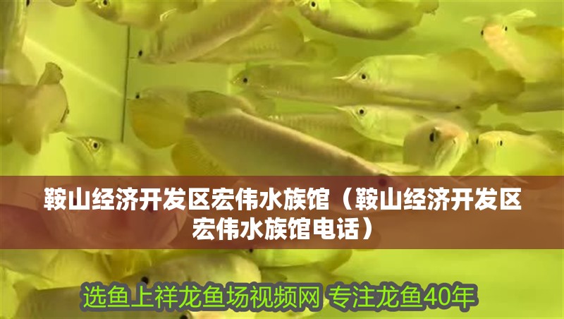 鞍山經濟開發區宏偉水族館（鞍山經濟開發區宏偉水族館電話）