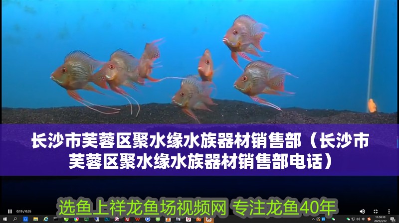 長(zhǎng)沙市芙蓉區(qū)聚水緣水族器材銷售部（長(zhǎng)沙市芙蓉區(qū)聚水緣水族器材銷售部電話）