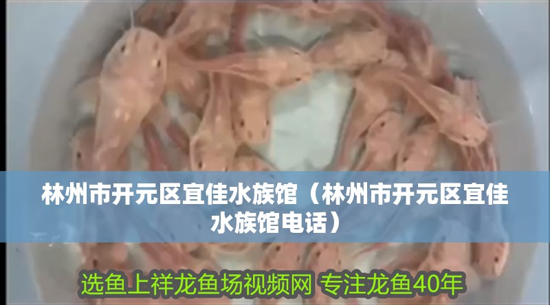 林州市開元區宜佳水族館（林州市開元區宜佳水族館電話） 林州市開元區宜佳水族館（林州市開元區宜佳水族館電話） 全國水族館企業名錄 第2張