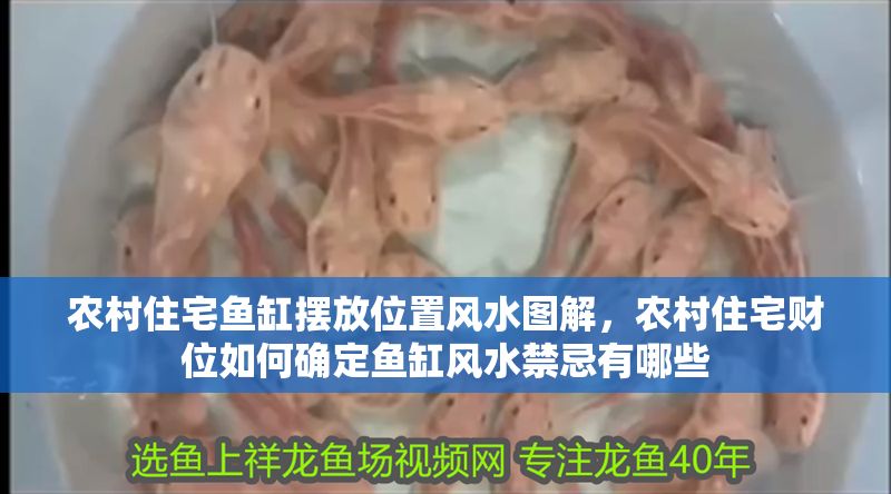 農村住宅魚缸擺放位置風水圖解，農村住宅財位如何確定魚缸風水禁忌有哪些