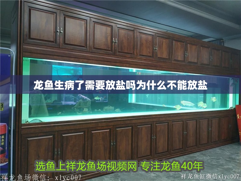 龍魚生病了需要放鹽嗎為什么不能放鹽