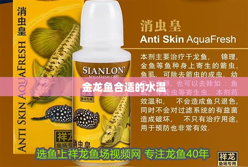金龍魚合適的水溫