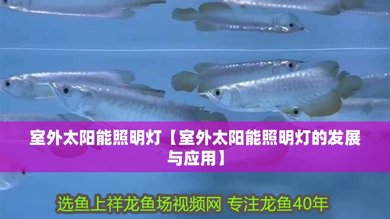 室外太陽能照明燈【室外太陽能照明燈的發展與應用】