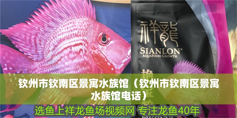 欽州市欽南區(qū)景寓水族館（欽州市欽南區(qū)景寓水族館電話）