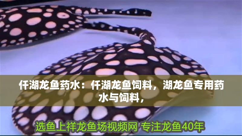 仟湖龍魚藥水：仟湖龍魚飼料，湖龍魚專用藥水與飼料，
