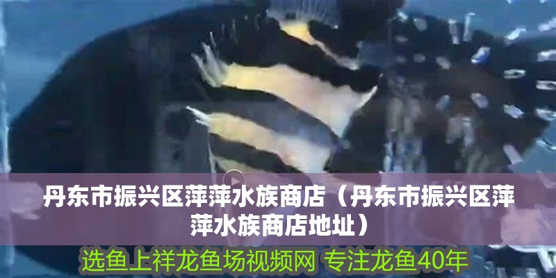 丹東市振興區萍萍水族商店（丹東市振興區萍萍水族商店地址）