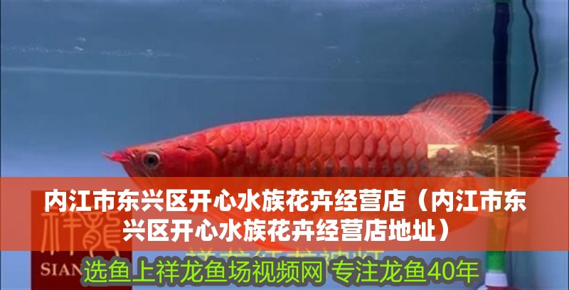內(nèi)江市東興區(qū)開心水族花卉經(jīng)營店（內(nèi)江市東興區(qū)開心水族花卉經(jīng)營店地址）