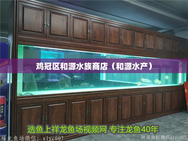 雞冠區(qū)和源水族商店（和源水產(chǎn)）