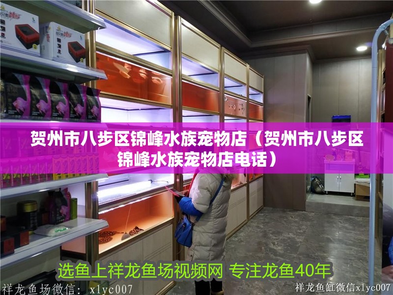 賀州市八步區(qū)錦峰水族寵物店（賀州市八步區(qū)錦峰水族寵物店電話）
