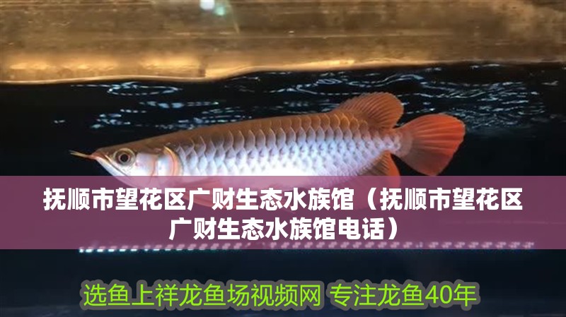 撫順市望花區(qū)廣財(cái)生態(tài)水族館（撫順市望花區(qū)廣財(cái)生態(tài)水族館電話(huà)）