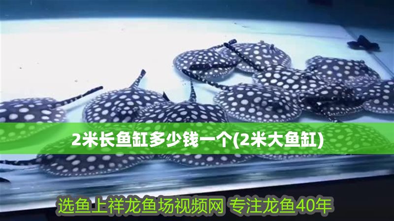 2米長魚缸多少錢一個(2米大魚缸)