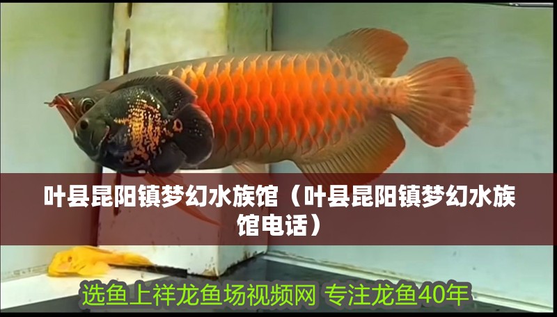葉縣昆陽鎮夢幻水族館（葉縣昆陽鎮夢幻水族館電話） 葉縣昆陽鎮夢幻水族館（葉縣昆陽鎮夢幻水族館電話） 全國水族館企業名錄 第2張