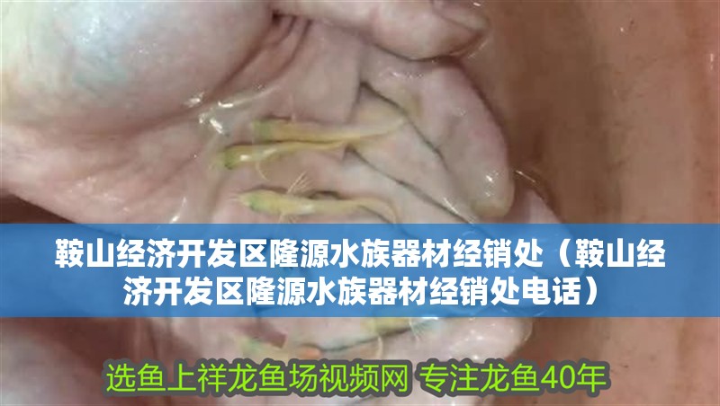 鞍山經濟開發區隆源水族器材經銷處(鞍山經濟開發區隆源水族器材經銷處電話) 全國水族館企業名錄 第2張 鞍山經濟開發區隆源水族器材經銷處(鞍山經濟開發區隆源水族器材經銷處電話) 鞍山經濟開發區隆源水族器材經銷處(鞍山經濟開發區隆源水族器材經銷處電話) 全國水族館企業名錄 第2張