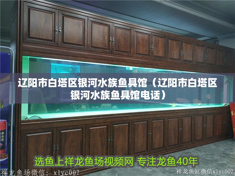 遼陽市白塔區銀河水族魚具館（遼陽市白塔區銀河水族魚具館電話）