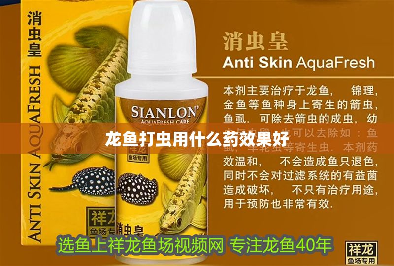 龍魚打蟲用什么藥效果好