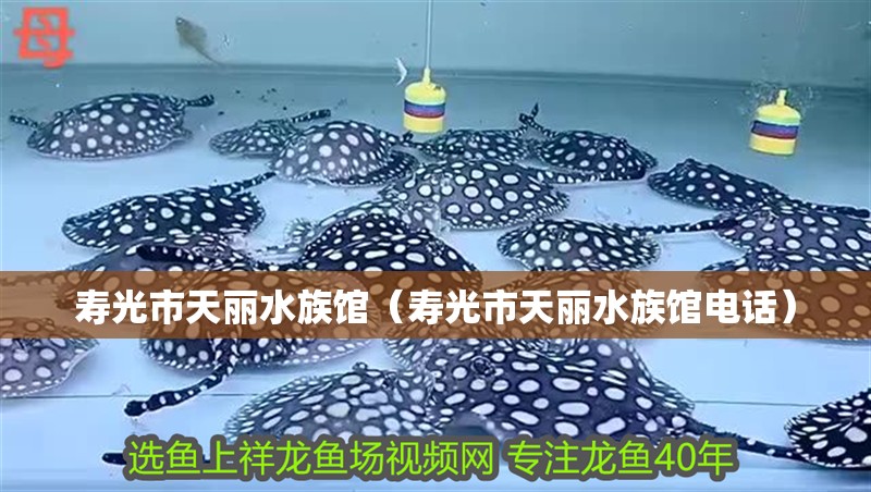 壽光市天麗水族館（壽光市天麗水族館電話） 壽光市天麗水族館（壽光市天麗水族館電話） 全國水族館企業名錄 第2張