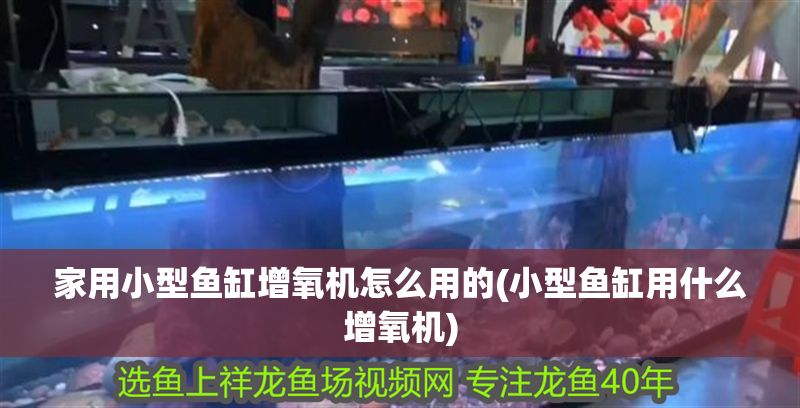 家用小型魚缸增氧機怎么用的(小型魚缸用什么增氧機)